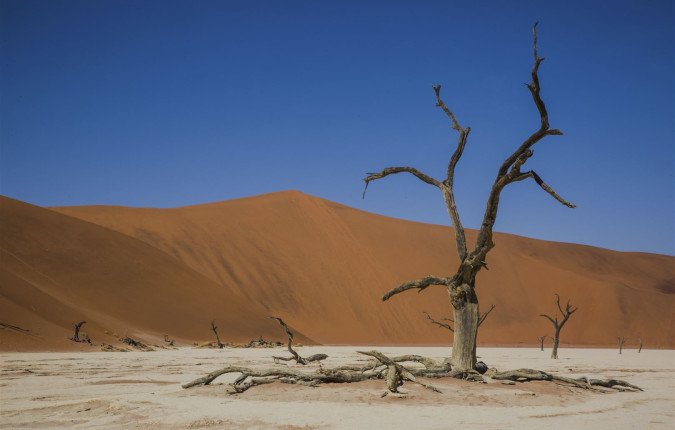 Journeys: Southern Africa Highlights