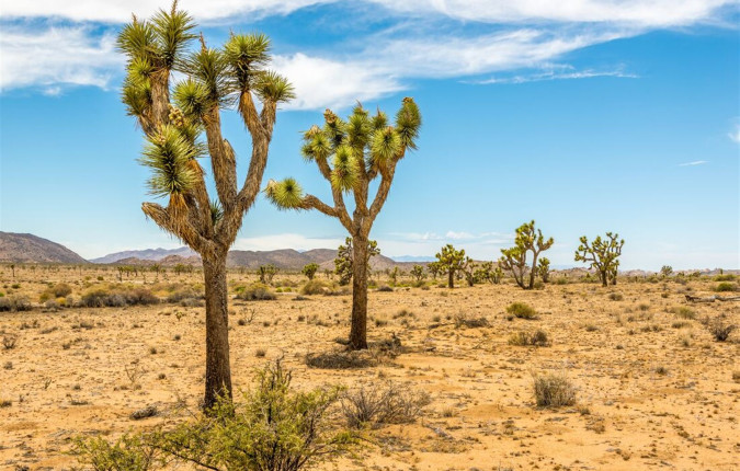 LA to Vegas Adventure