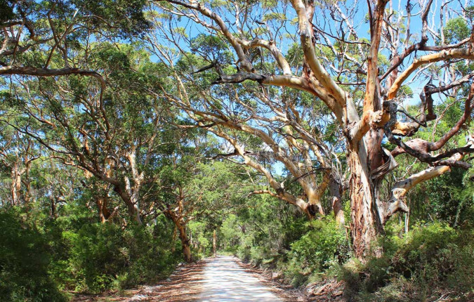 Best of Perth, Margaret River & Rottnest Island