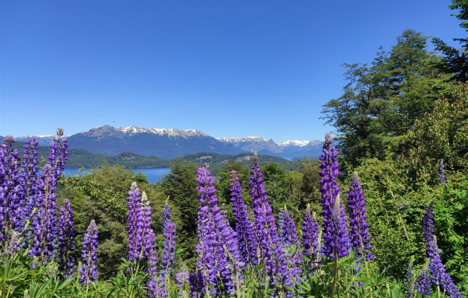 Cycling the Lake District of Chile & Argentina