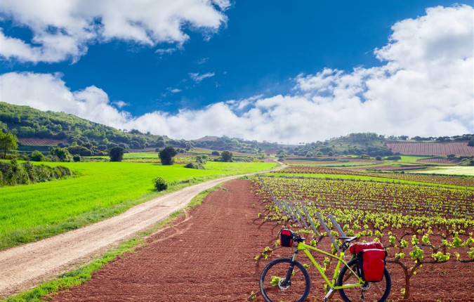Vineyards of La Rioja Cycling