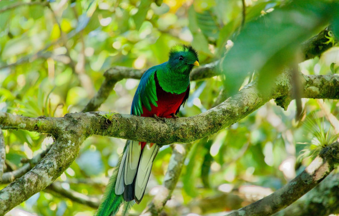 Discover Costa Rica