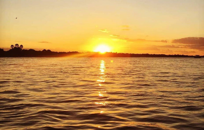 Journeys: The Great Southern Africa Safari