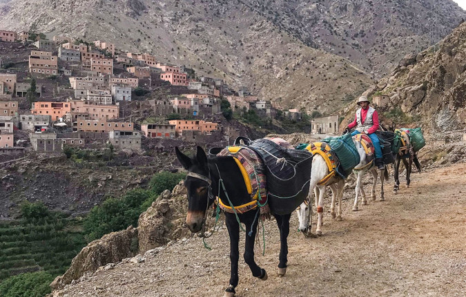 Mount Toubkal Trek