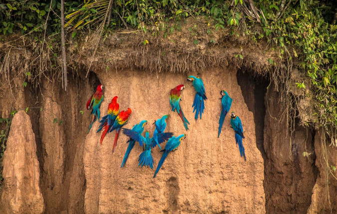 Inca Trail & Amazon Adventure