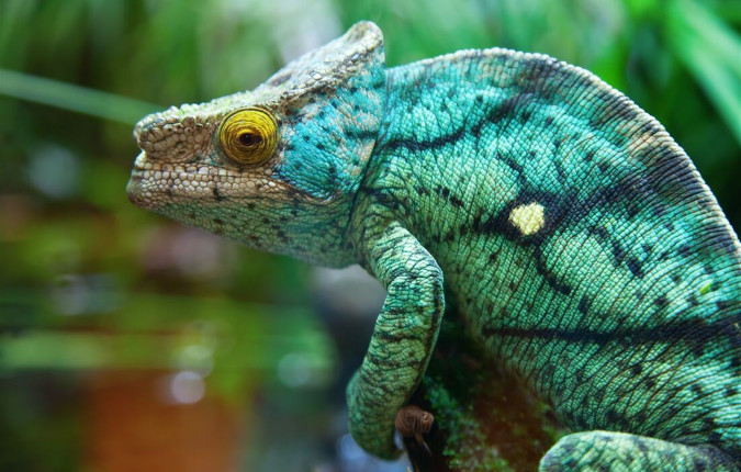 Madagascar Adventure