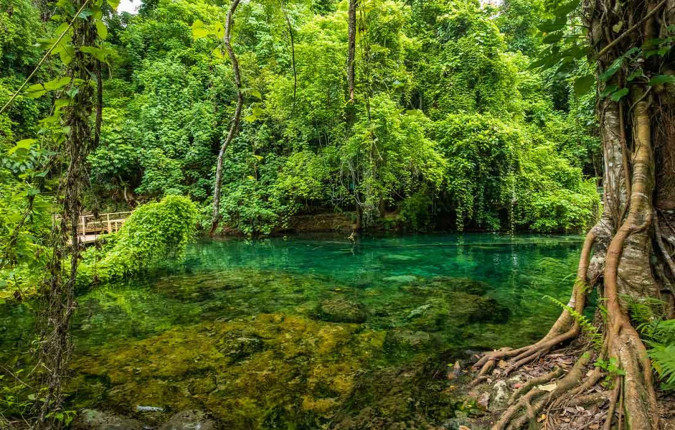Vanuatu Expedition