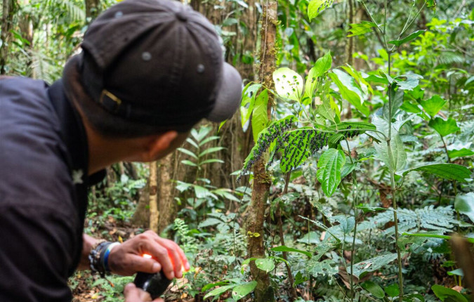 Inca Encounter