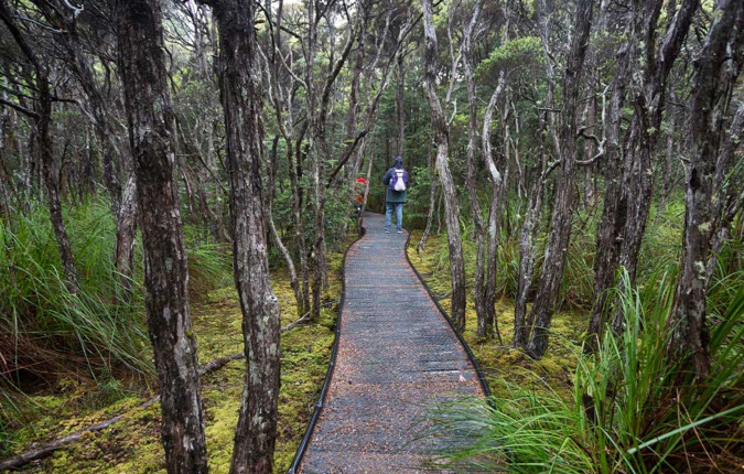 Walk Tasmania's Bay of Fires