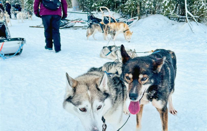 Finland Family Winter Adventure