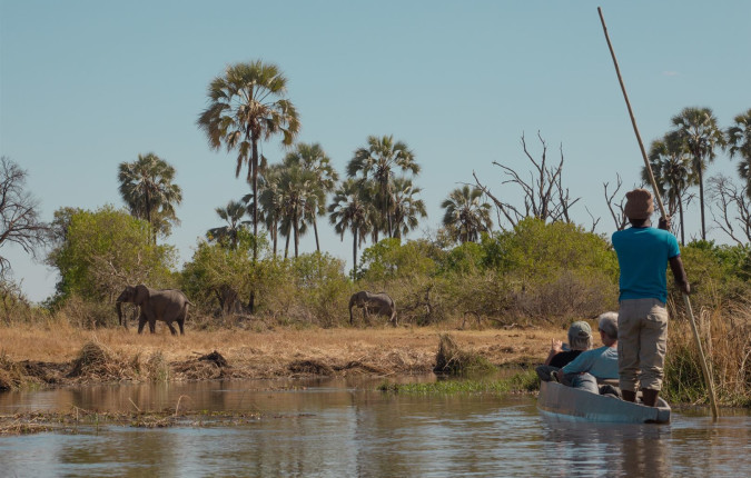 Wildlife & Wilderness of Botswana