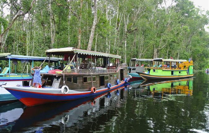 Indonesia Expedition: Orangutans of Kalimantan 