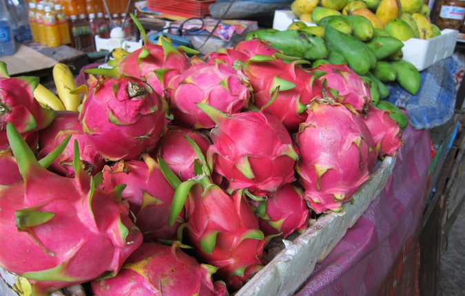 Highlights of Thailand
