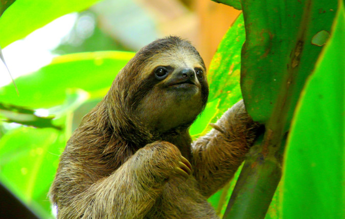 Best of Costa Rica 