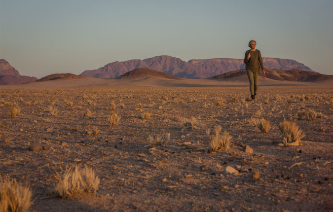 Cape & Dunes Northbound: Wildlife & Starry Night Skies