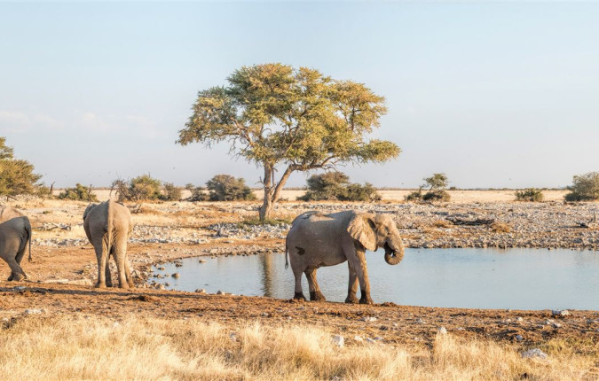 Botswana & Namibia: Delta & Dunes