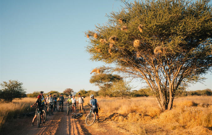 Cycle Namibia