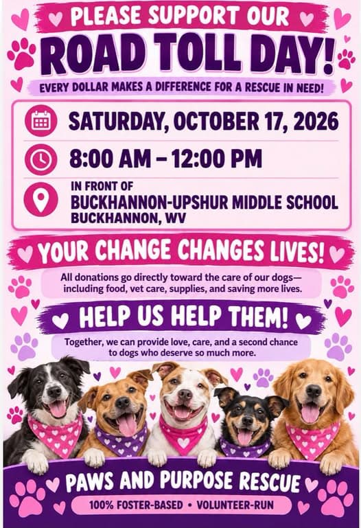 Paws and Purpose Rescue Road Toll Day