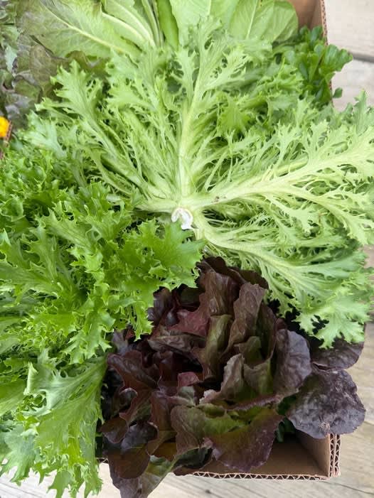 Buckhannon-Upshur Farmers Market