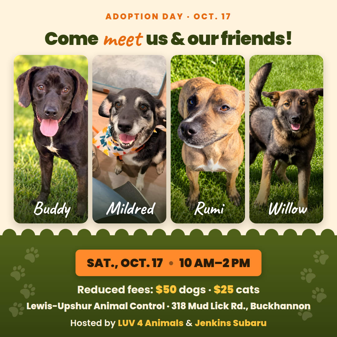 Subaru Loves Pets Adoption Event at Lewis-Upshur Animal Control