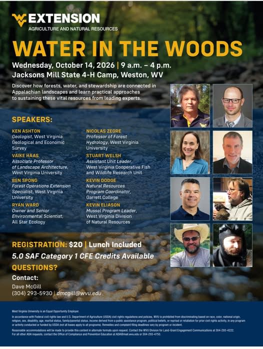 Water in the Woods