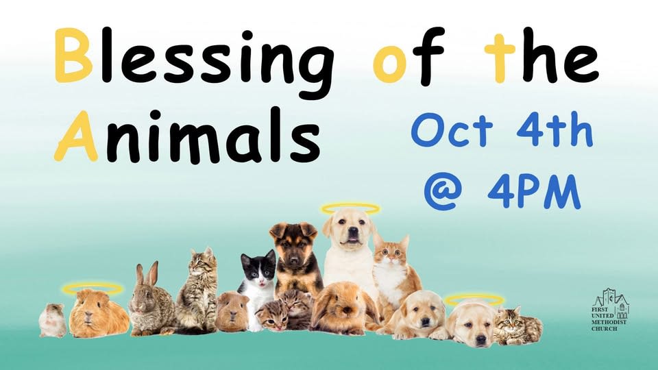 Blessing of the Animals at First United Methodist Church