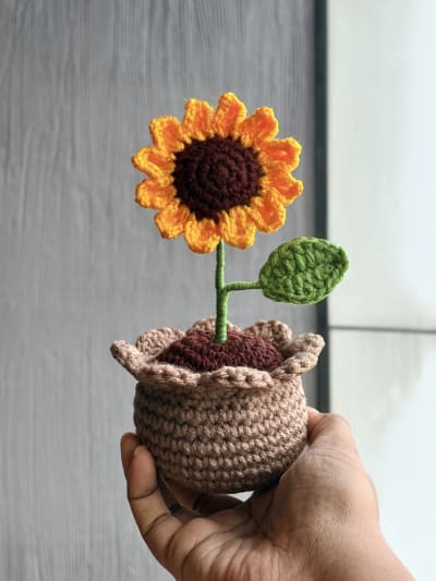 Sunflower pot 