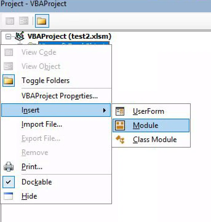 VBA Project Insert > Module