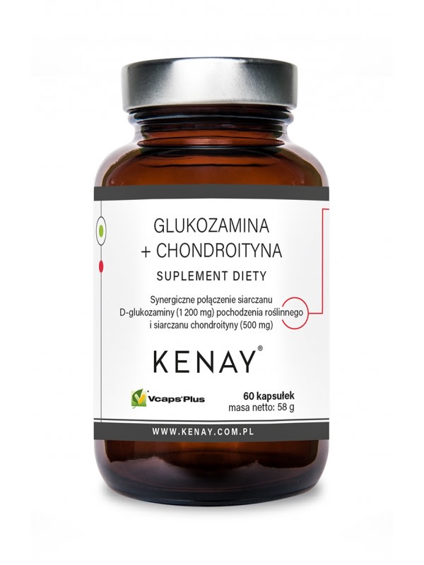 Glukozamina + Chondroityna – 60 kaps.