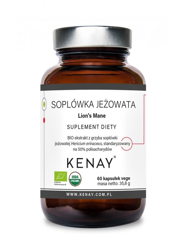 Soplówka jeżowata Lion's Mane 