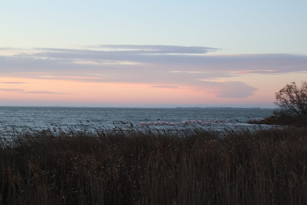 Littoral