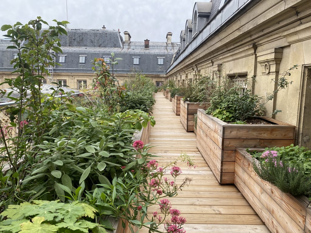 Roofscapes
