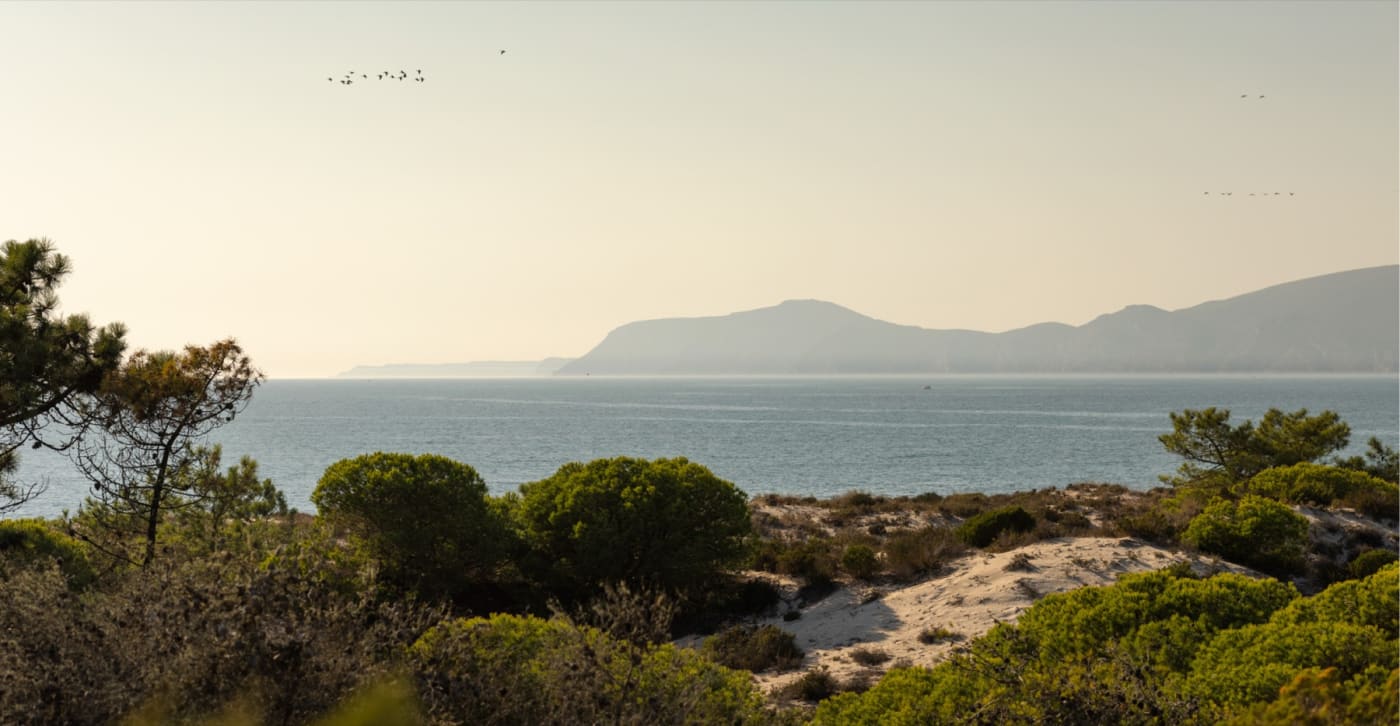 Vista desde las dunas del hotel Na Praia sobre el estuario y la serra da Arrábida