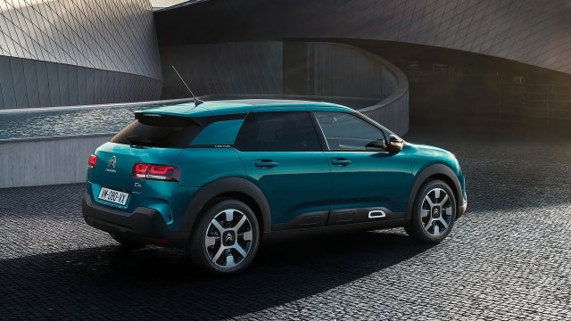  C4 Cactus