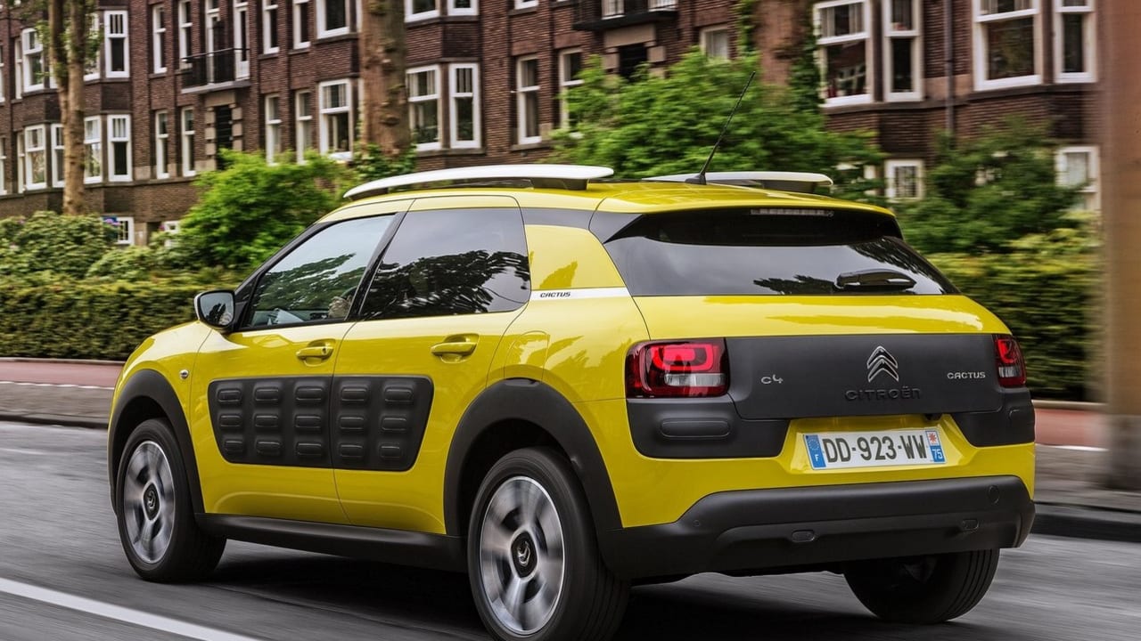  C4 Cactus