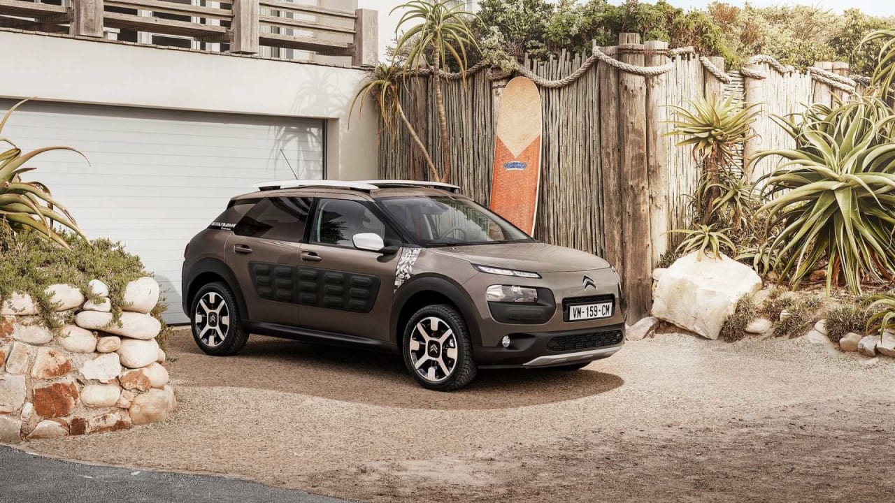  C4 Cactus