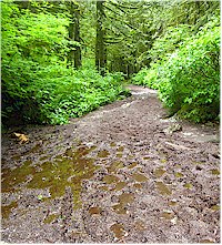 A week of rain resulted in lots of mud