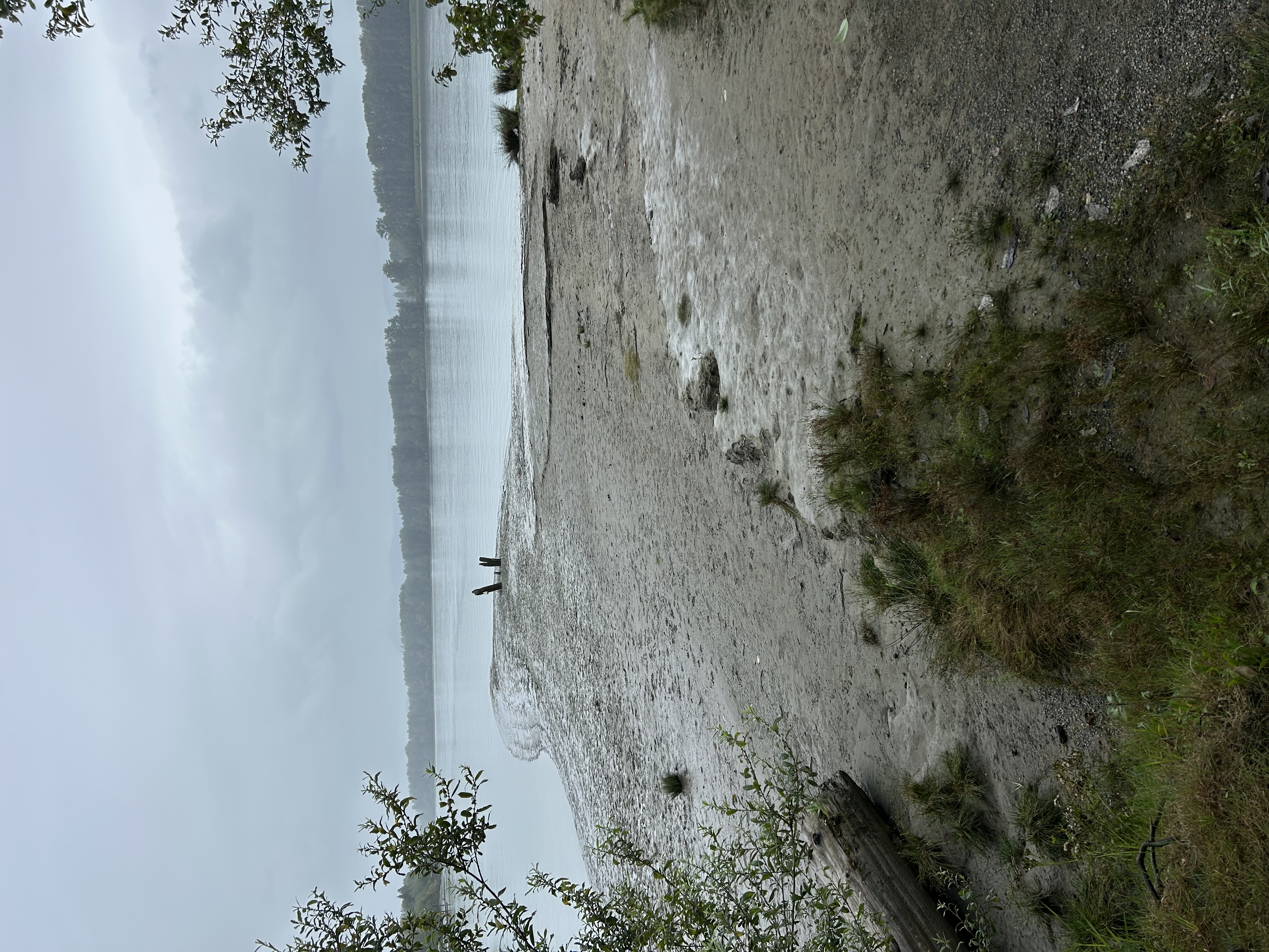 Tavistock Point