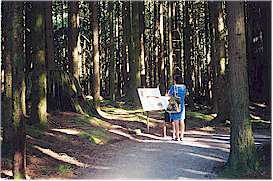Spirea Nature Trail and Interpretative
Forest