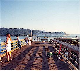 Cruise ship passing pier