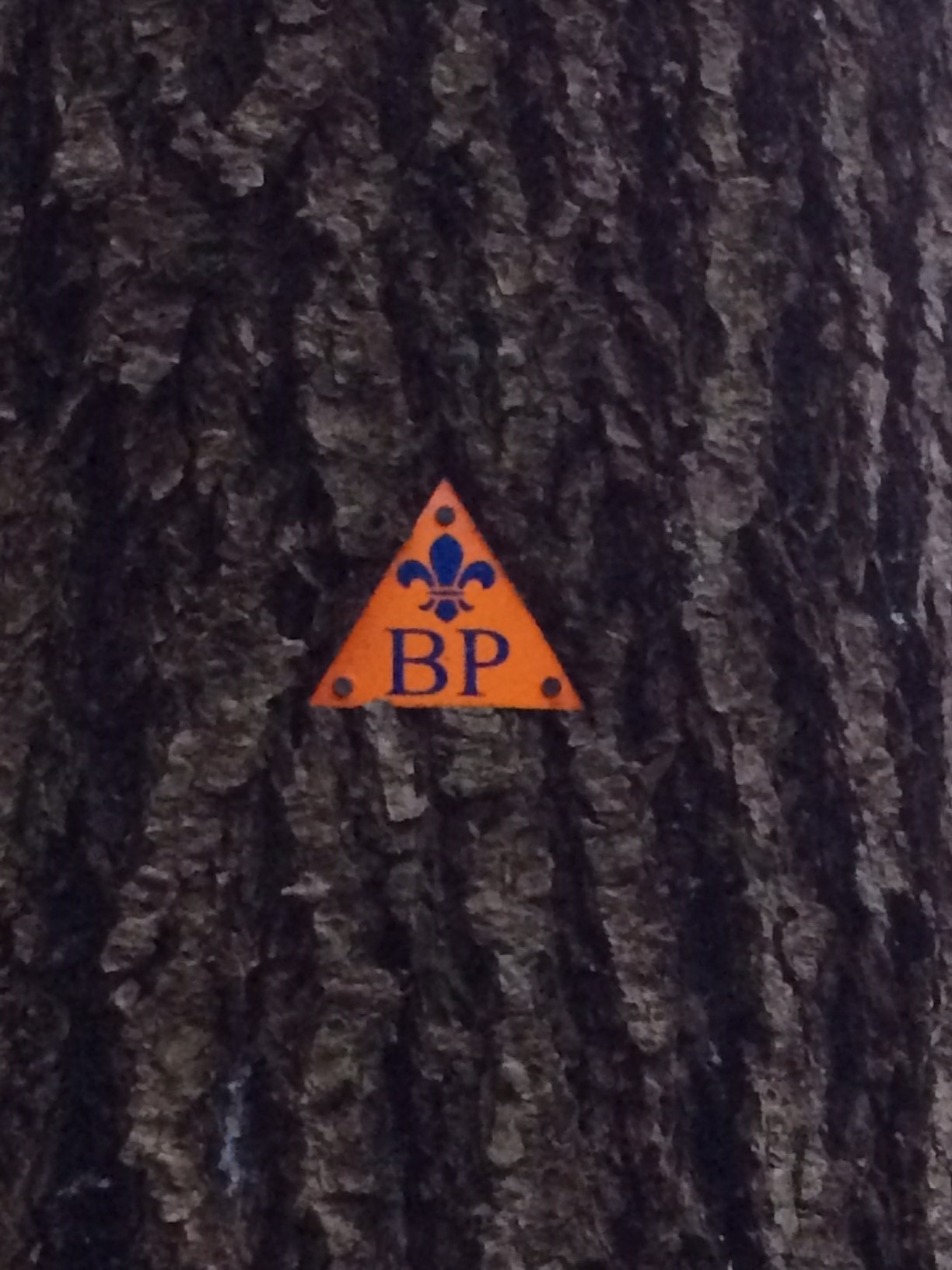 To keep you on track look for these tags along the trail