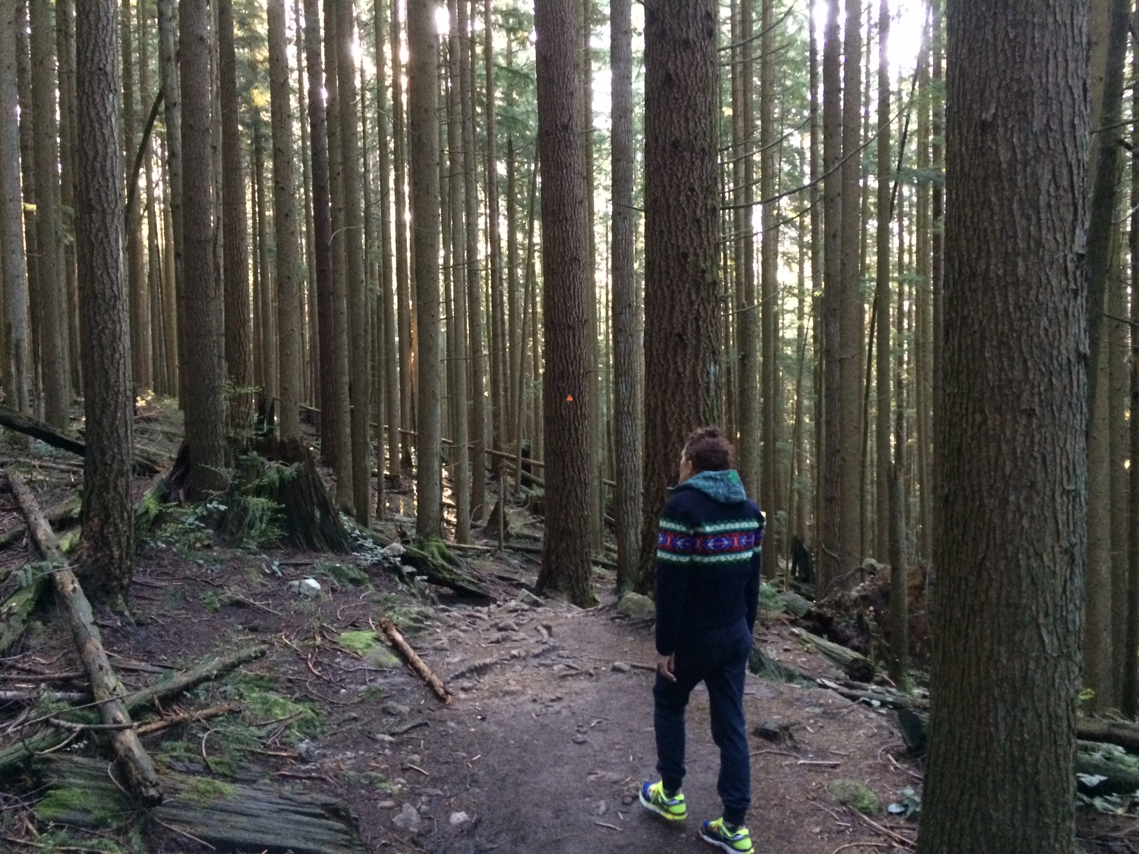 On the Grouse Mountain section of the trail