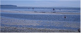 The beach at Birch Bay