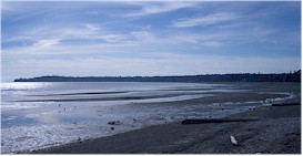 When the tide is out there's miles of sand to explore, and when the tide comes back in the water is warm for swimming