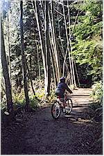 Biking the trail from Snug Cove to Killarney Lake