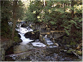 Fishladder by Bridal Veil Falls