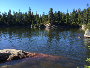 Swimming at Cabin Lake
