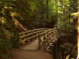Most of the trail is quite easy going