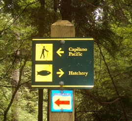 The Salmon Hatchery is a very interesting diversion along
the trail