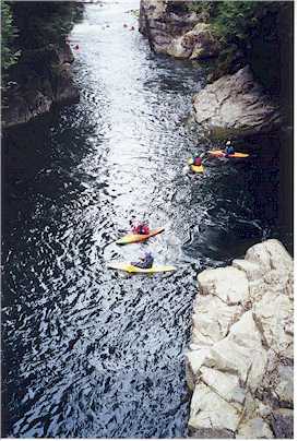 Kayakers navigate the Capilano River